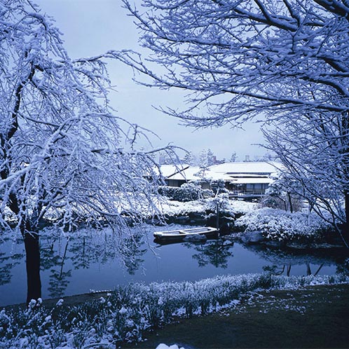 白鳥庭園冬の写真5